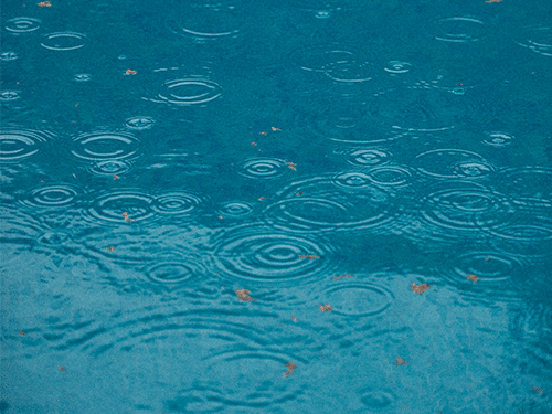 raindrops