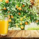 Are we seeing a structural shift in orange juice production?