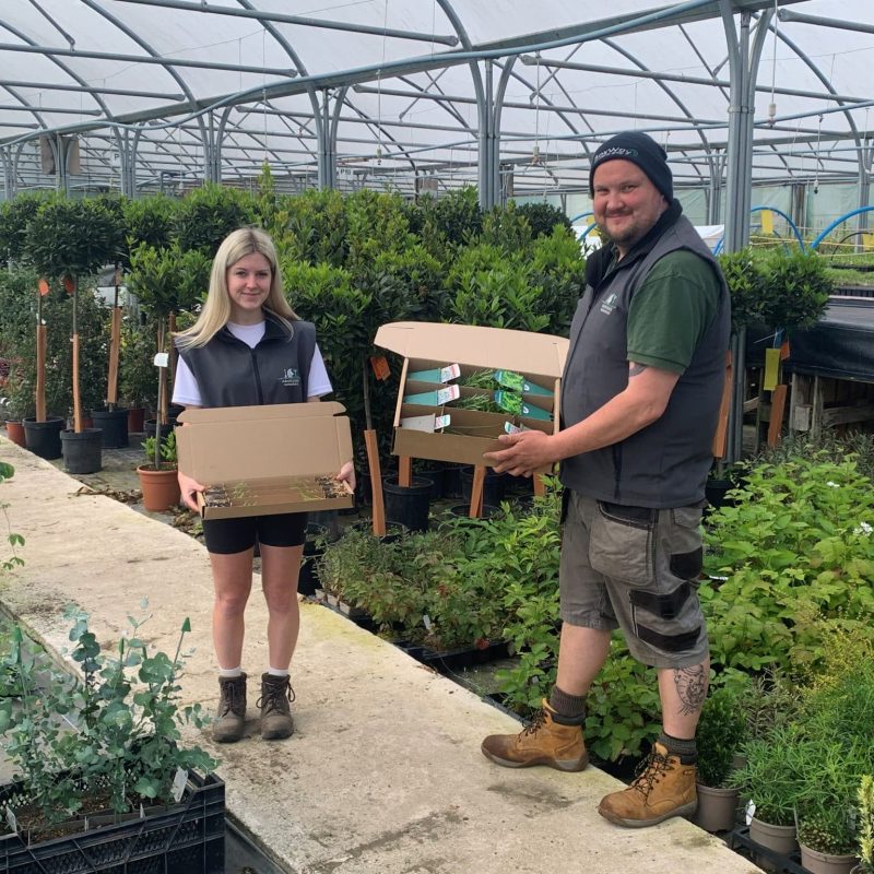 Ashridge Nurseries