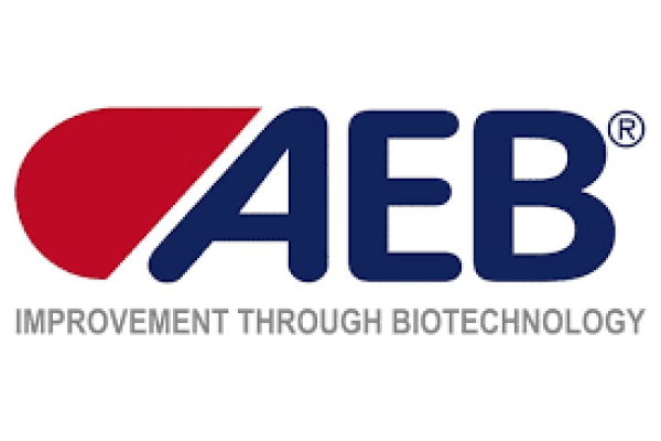 aeb-logo-white